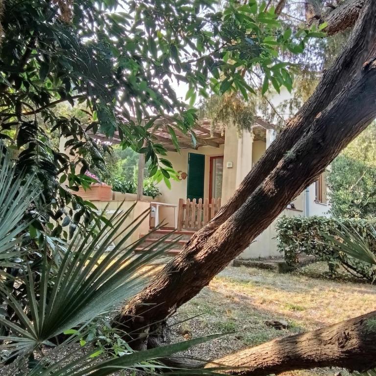 Casa la Quercia - One-Bedroom House - 11