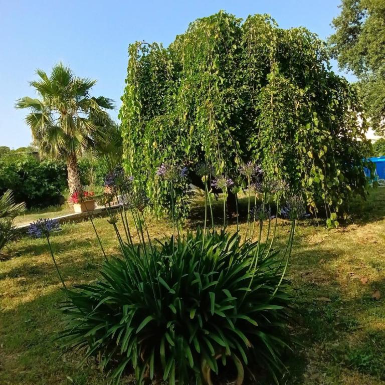 Casa la Quercia - Two-Bedroom House - 1