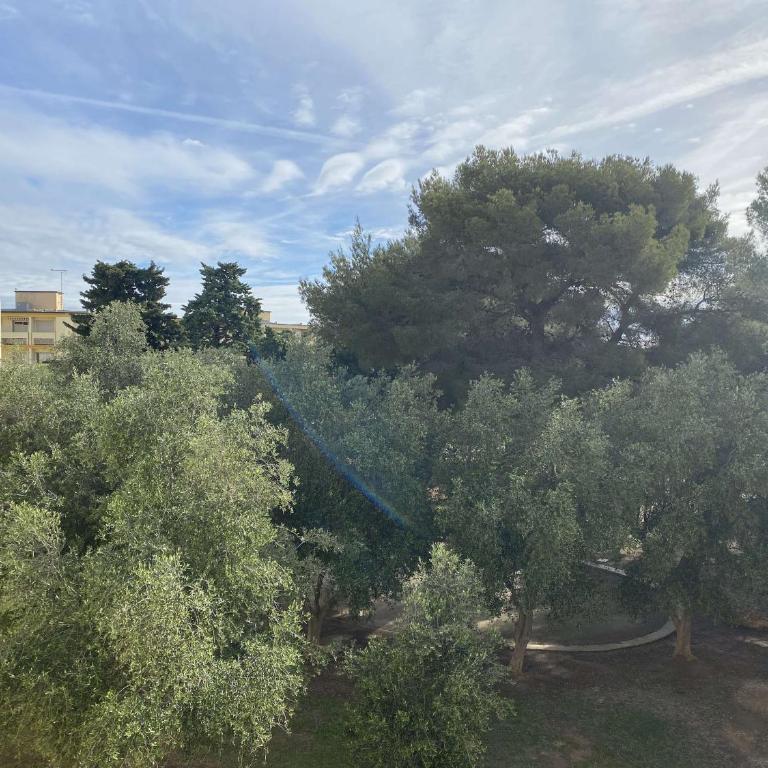 Studio équipé avec parking à Balaruc-les-Bains - FR-1-553-134 - Studio - 14
