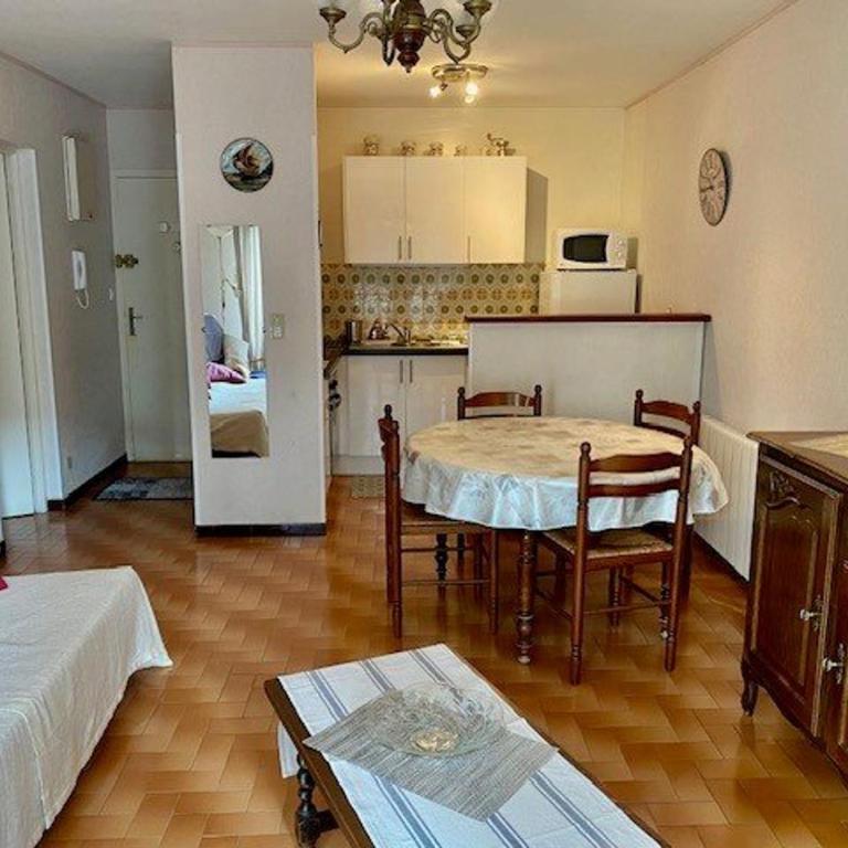 F2 Climatisé avec Garage, Animaux Bienvenus, Amélie-les-Bains - Apartamento de 1 dormitorio - 9