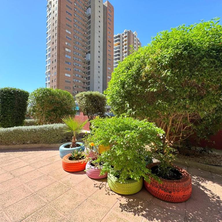 Los Ranchos, B-3 - Apartamento de 3 dormitorios - 28