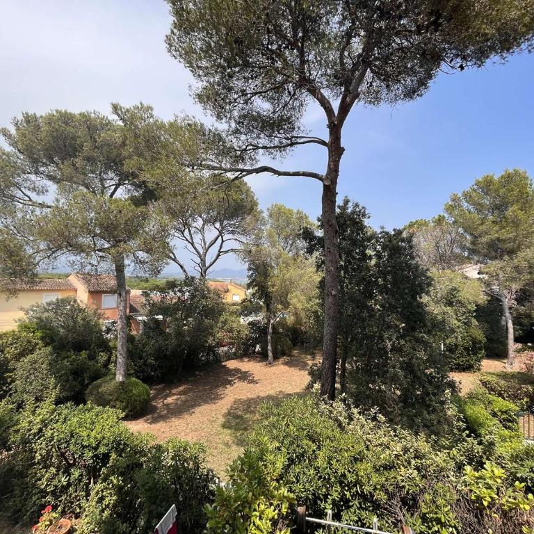 Appartement avec piscine, tennis, proche plage - 4 personnes - Saint Aygulf - FR-1-226A-161 - Apartment - 14