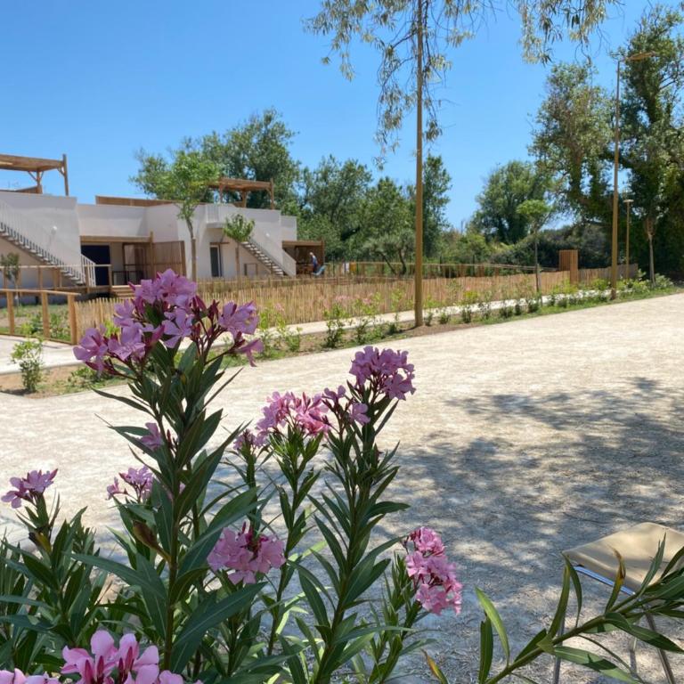 AGENCE JF IMMO- Villa T4 jardin climatisation solarium ménage draps V0767 - Villa 3 Chambres - 23