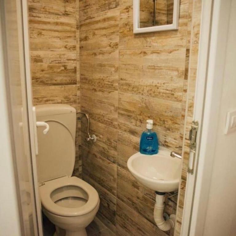 Apartments Tijana - Apartman sa 3 Spavaće Sobe i Balkonom - 12