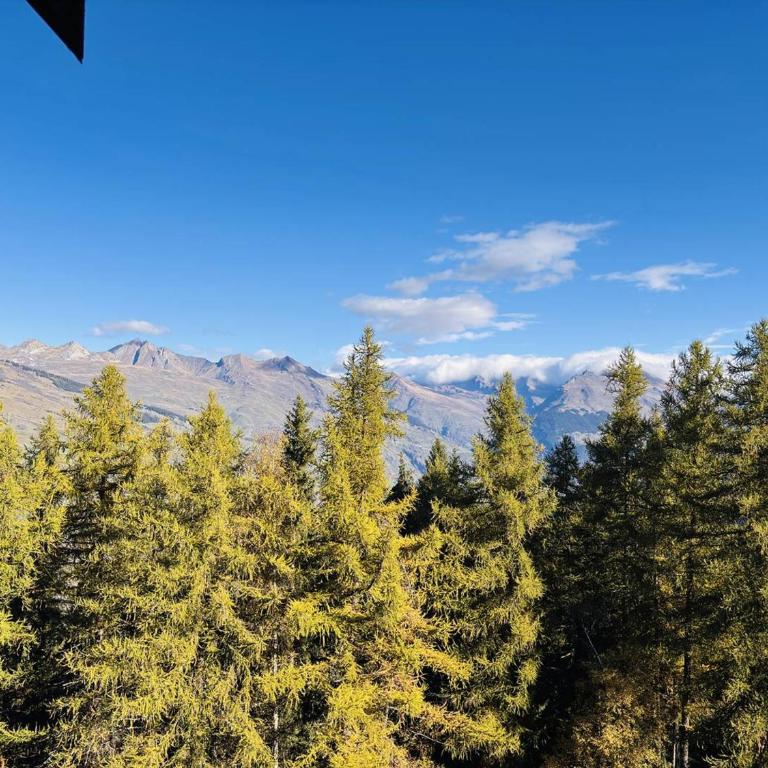Duplex 7 pers, prox pistes, balcon, casier skis - Apartment mit 2 Schlafzimmern - 15