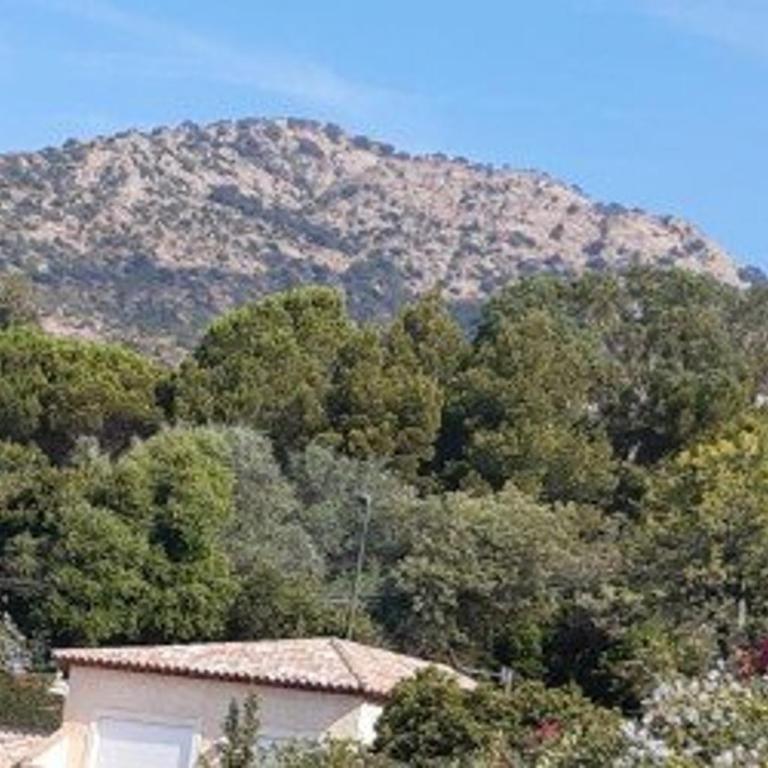 Charmant T2 au Lavandou pour 4, proche plage - FR-1-803-14 - Apartment - 14