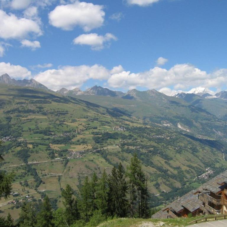 Appartement 3P, 6 pers, proche pistes, animaux acceptés - La Plagne - Appartement 2 Chambres - 13