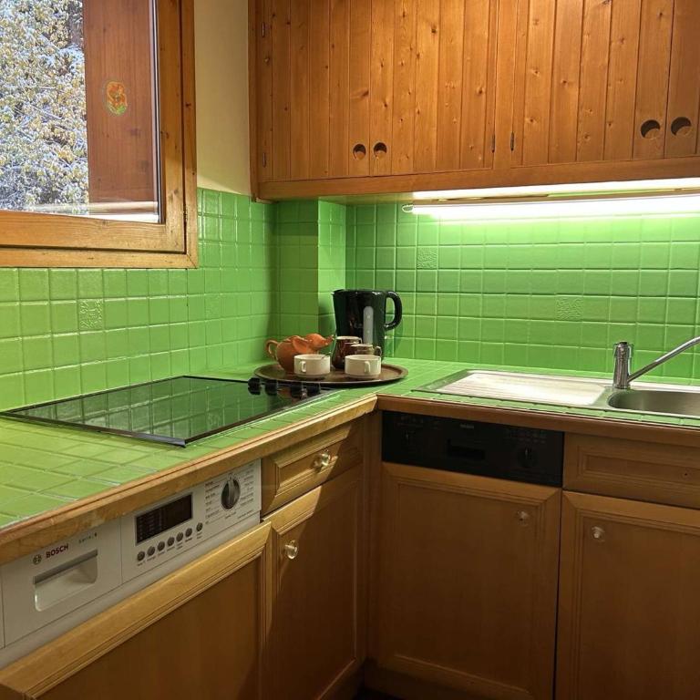 Appartement en montagne, 4 pers, proche des pistes et commerces, animaux acceptés, balcon, casier à skis - FR-1-180-73 - Apartment (4 Adults) - 17