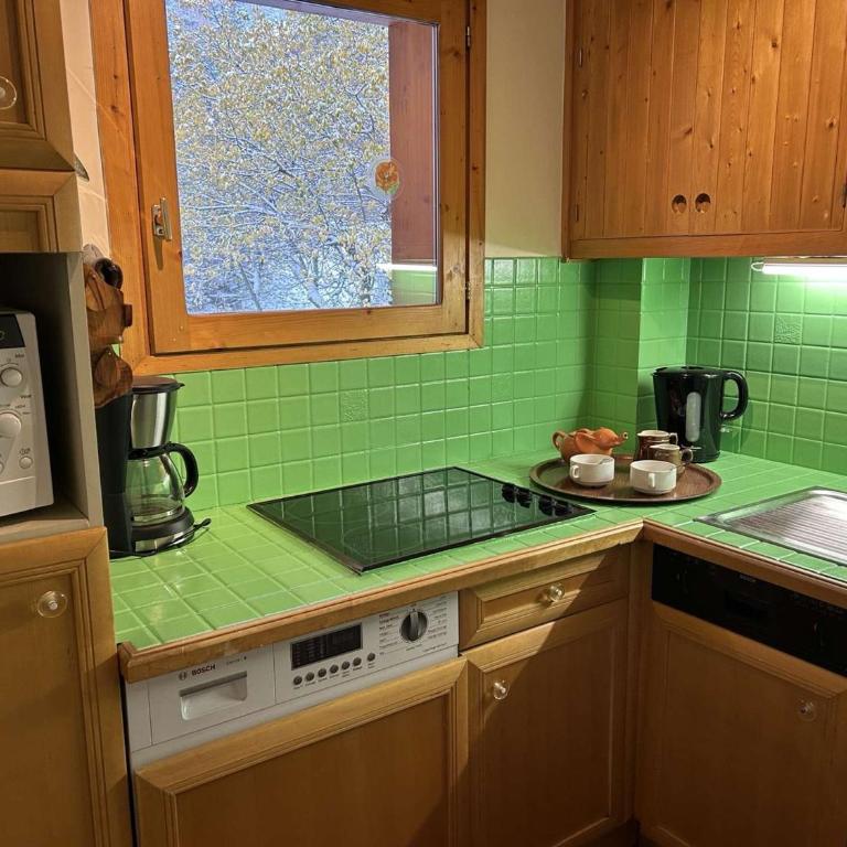 Appartement en montagne, 4 pers, proche des pistes et commerces, animaux acceptés, balcon, casier à skis - FR-1-180-73 - Apartment (4 Adults) - 18