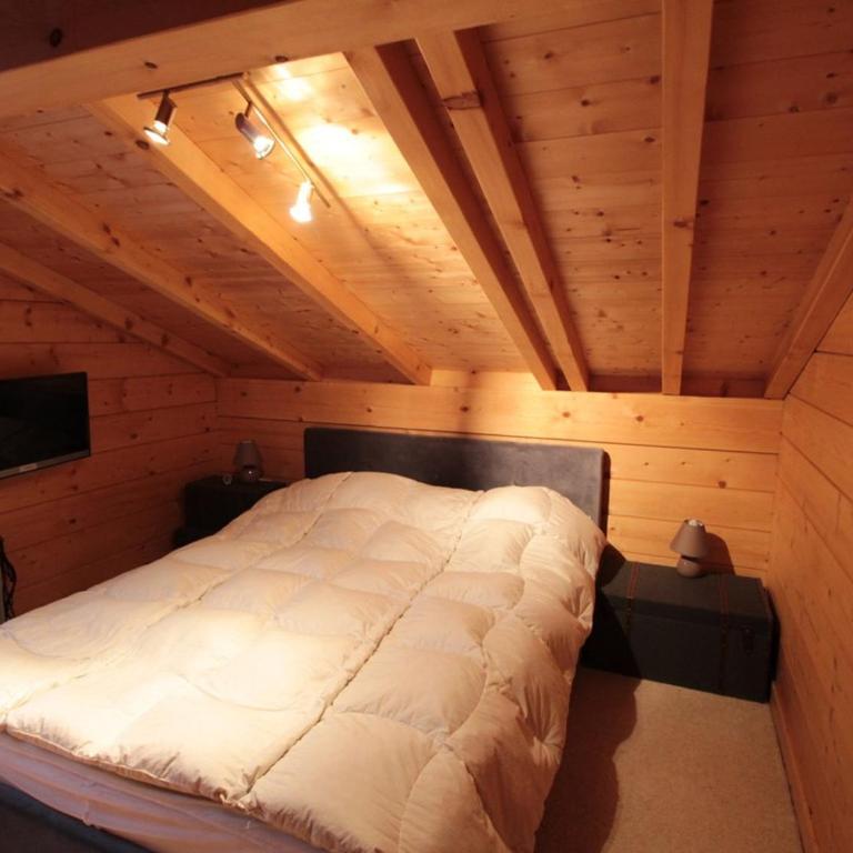 Chalet 3 chambres 8 pers avec cheminée et parking à 1000m des pistes - FR-1-572-49 - Chalet (8 Adultes) - 8