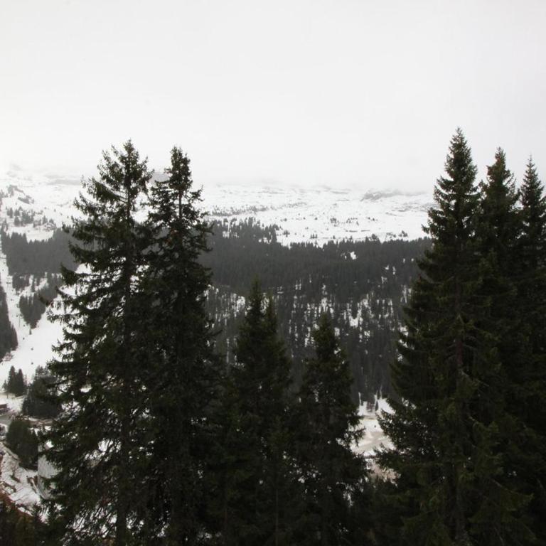 Studio lumineux avec balcon et vue sur pistes, animaux admis - FR-1-687-61 - Monolocale - 4
