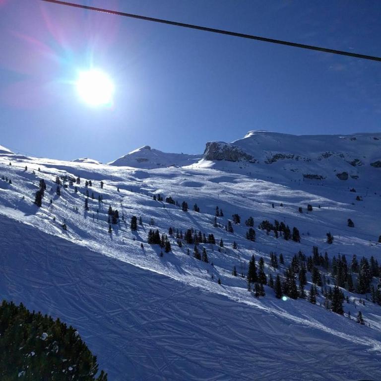 Studio lumineux avec balcon et vue sur pistes, animaux admis - FR-1-687-61 - Monolocale - 15