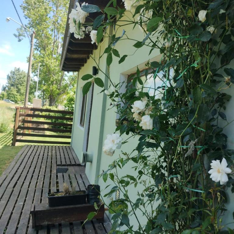 Amapola - Two-Bedroom House - 8