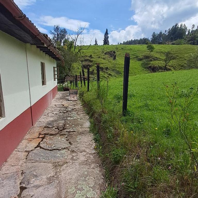 Finca Casa Del Pino - Three-Bedroom House - 56