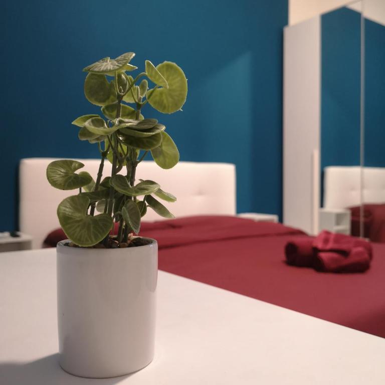 Creti Room Guesthouse - Camera Matrimoniale con Bagno in Comune - 24