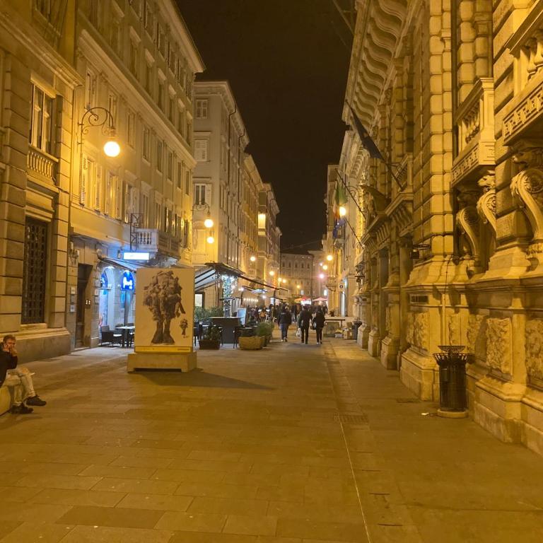 Trieste City 2 - Appartamento con 1 Camera da Letto - 10