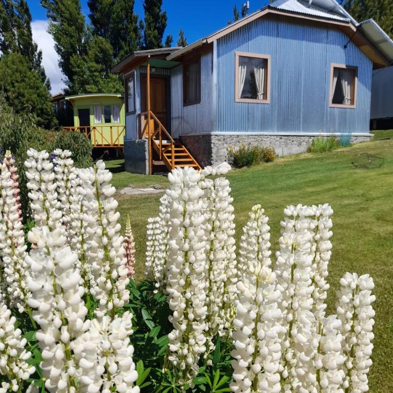 El Neneo Cabañas - Casa con 1 dormitorio - 1