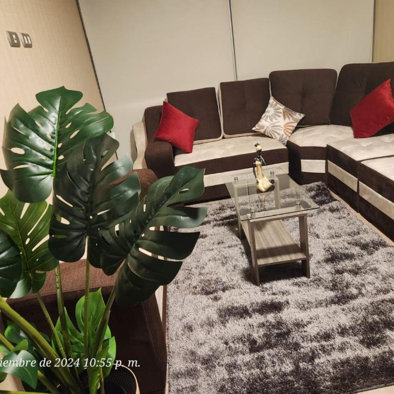 Habitaciones en departamento Moderno, cerca a Aeropuerto Arequipa - Deluxe Room - 10