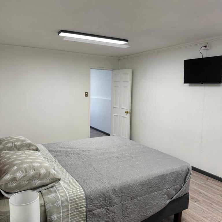 Angol Suite - One-Bedroom Apartment - 4