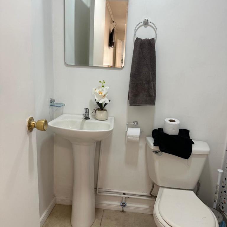 Angol Suite - One-Bedroom Apartment - 9