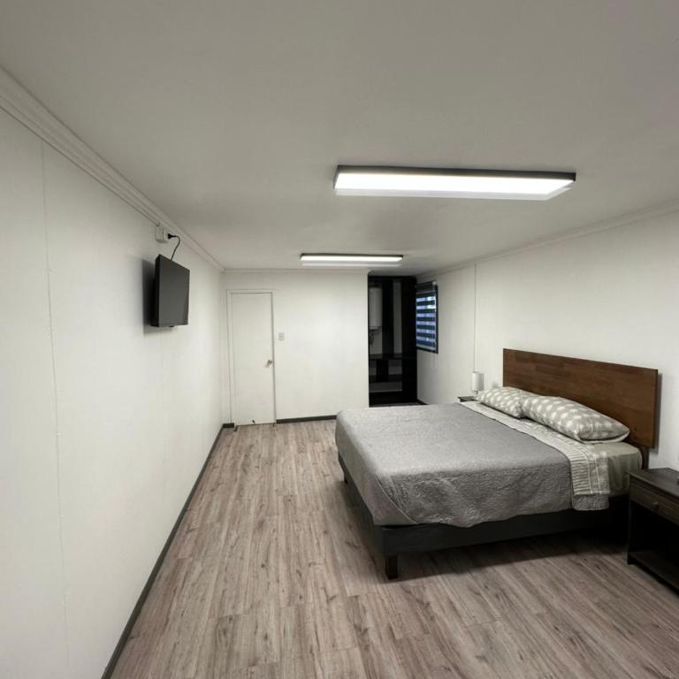 Angol Suite - One-Bedroom Apartment - 1