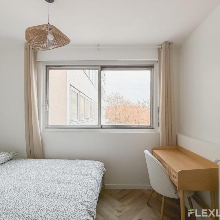 Room in spacious T7 in Paris 20 - Chambre Simple - 2