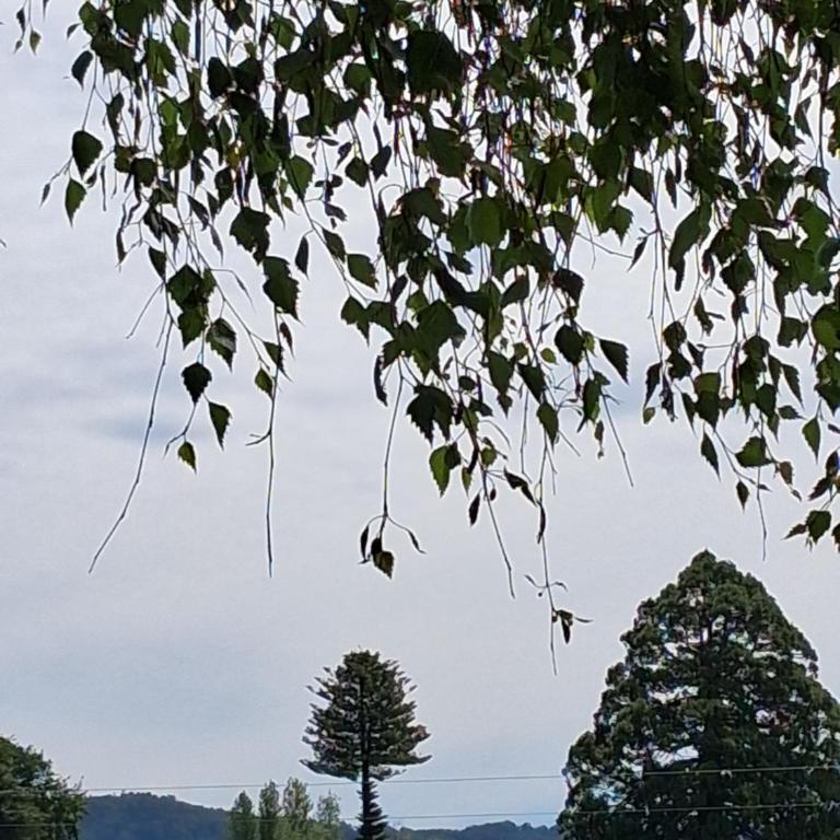 Departamento exclusivo para familiares - Apartamento de 3 dormitorios - 15