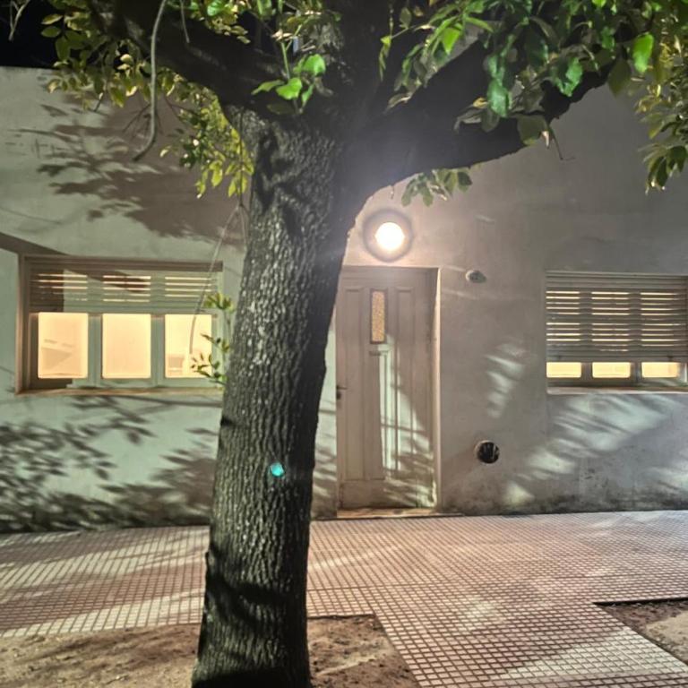 DEPTO PAZ - Apartamento de 1 dormitorio - 4