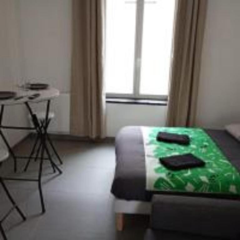 Studio XL & parking gratuit - Apartment mit 1 Schlafzimmer - 7