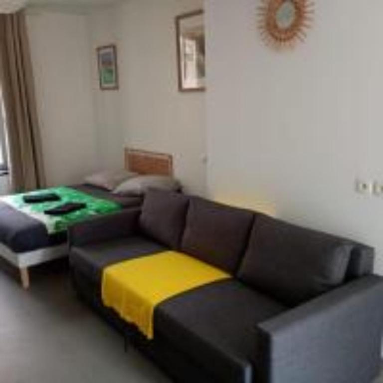 Studio XL & parking gratuit - Apartment mit 1 Schlafzimmer - 10