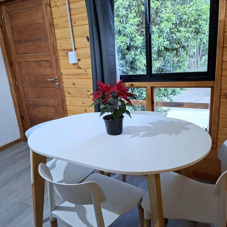 Depto Cabañero Lumai - Apartamento de 1 dormitorio - 4