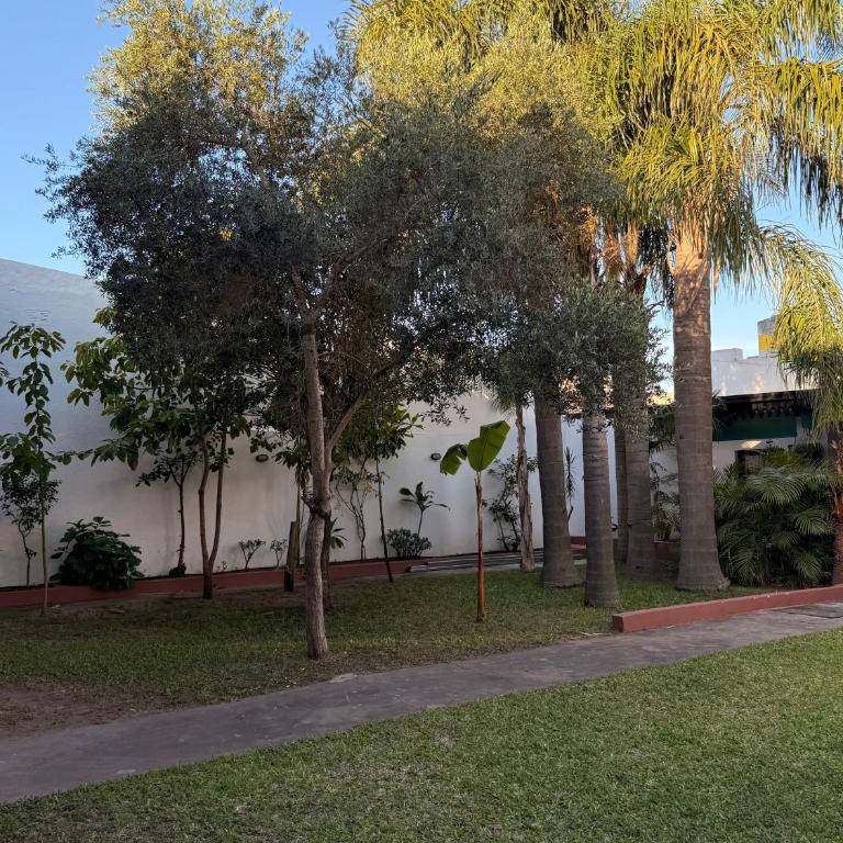 Babela 2 - Apartamento de 1 dormitorio - 35