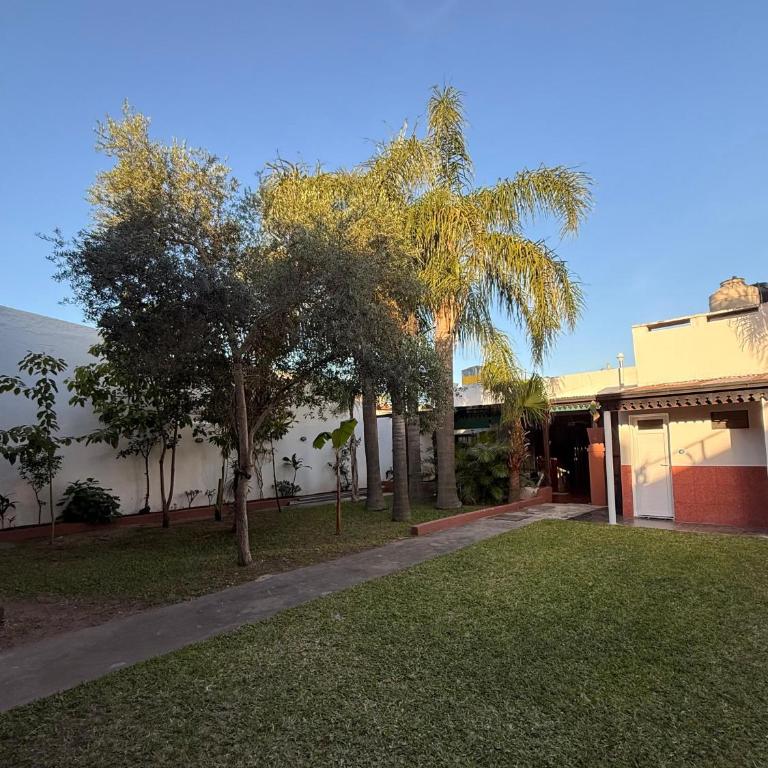Babela 2 - Apartamento de 1 dormitorio - 36