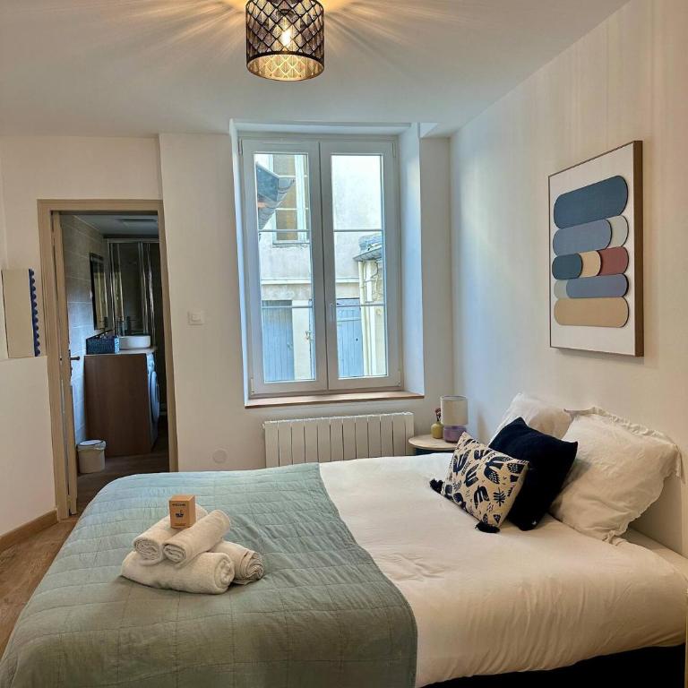 Les Cosy de Nancy - Le repère du roi stanislas 4étoiles - Appartement Premium 1 Chambre - 2