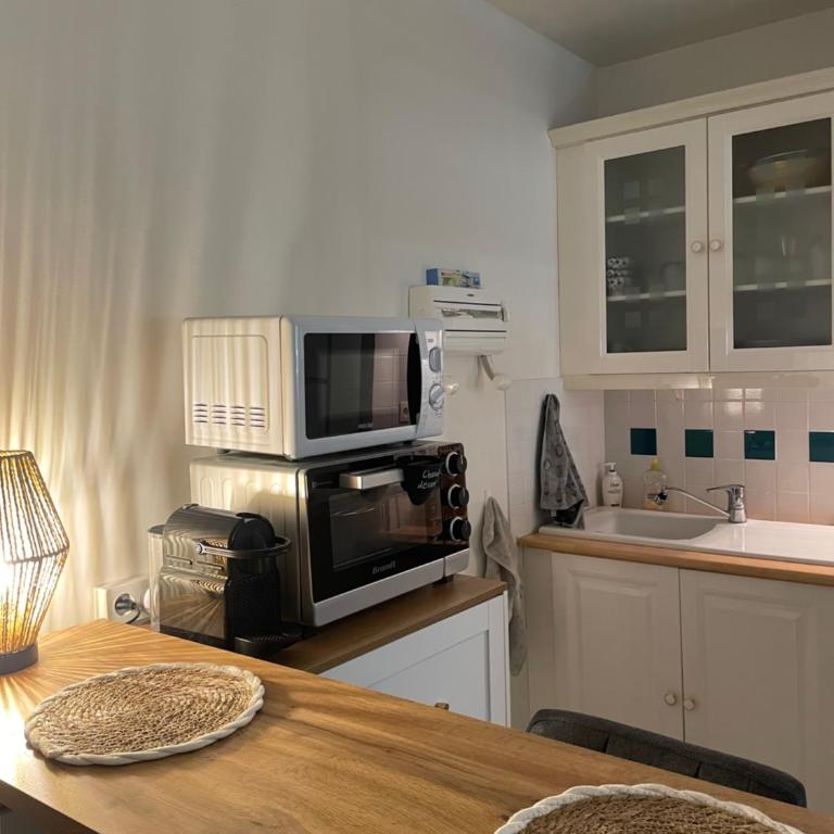 Le logis des roches noires, vue mer, parking privatif - Appartamento con 1 Camera da Letto - 22