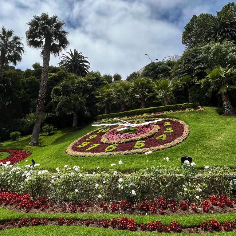 Departamento Reloj de flores - One-Bedroom Apartment - 1