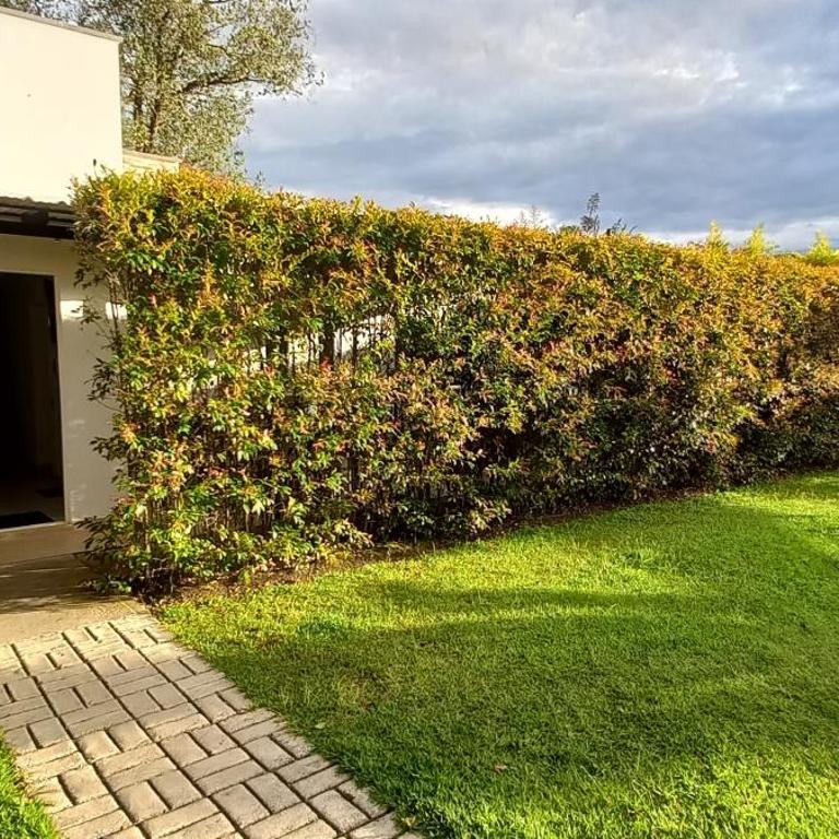 Hotel y Cabañas Parinzzi - Suite con bañera de hidromasaje y cama grande - 6