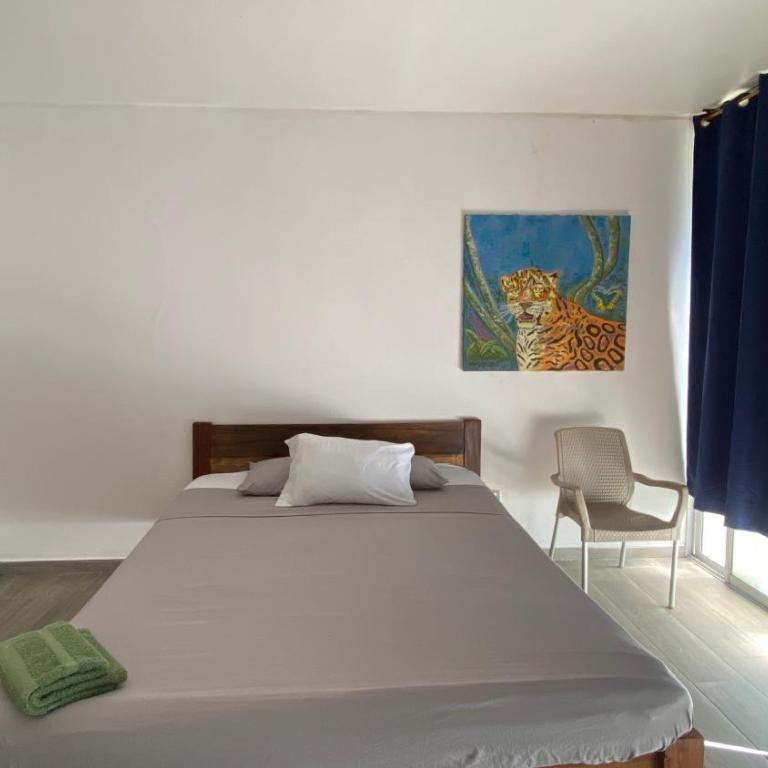 Amazonas magic - Deluxe Queen Room - 1