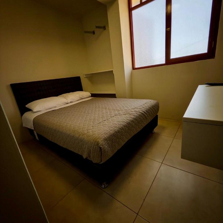 Habitación privada en el centro de la ciudad - One-Bedroom Apartment - 5