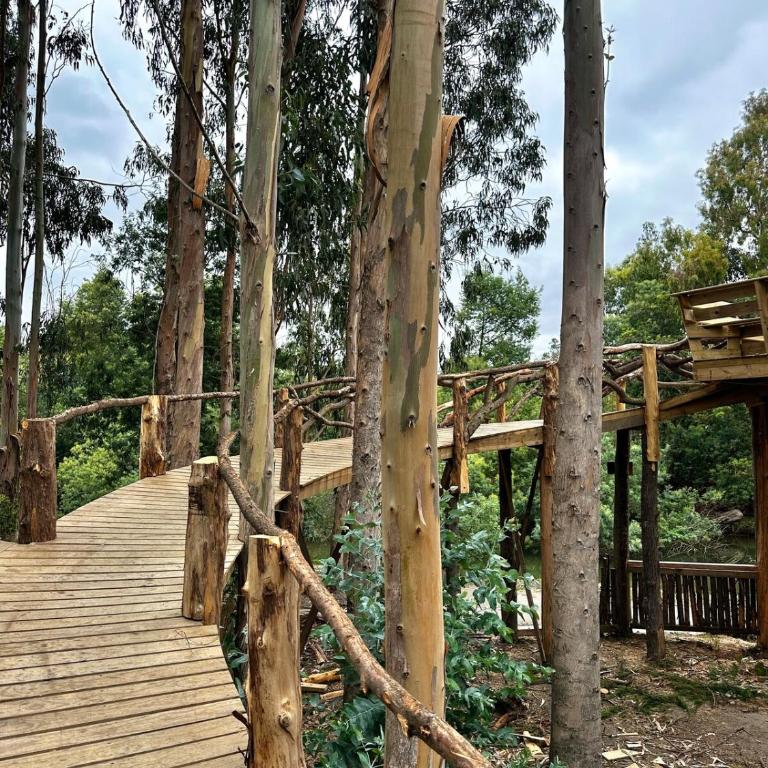Casa en Bahía del rio Maule, naturaleza, tranquilidad, pet friendly - Two-Bedroom House - 28