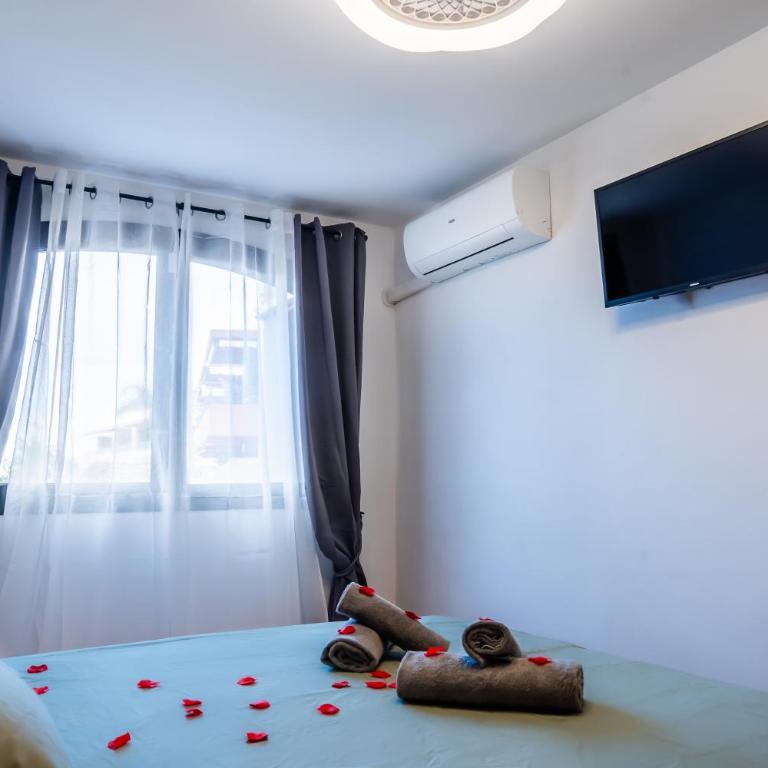 Cosy Apartments Tenerife - Cosy 2 - Apartamento de 1 dormitorio - 28