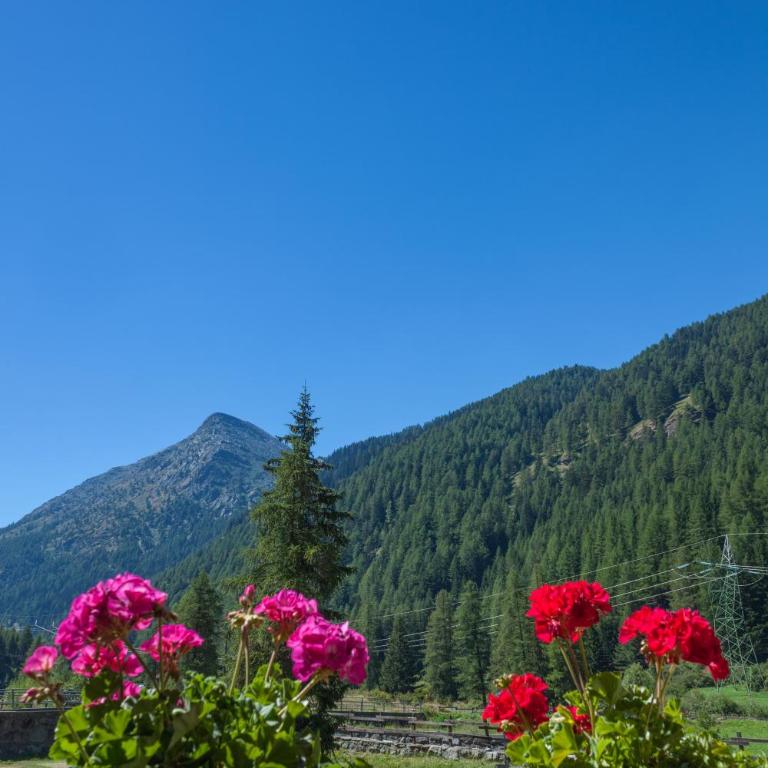 Hotel Camping Grivola - Camera Matrimoniale/Doppia con Letti Singoli - 3