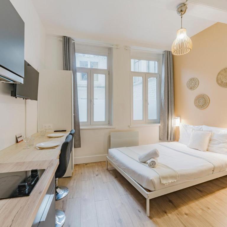 Lille Centre - Nice, cozy and functional studio - Apartment - 2
