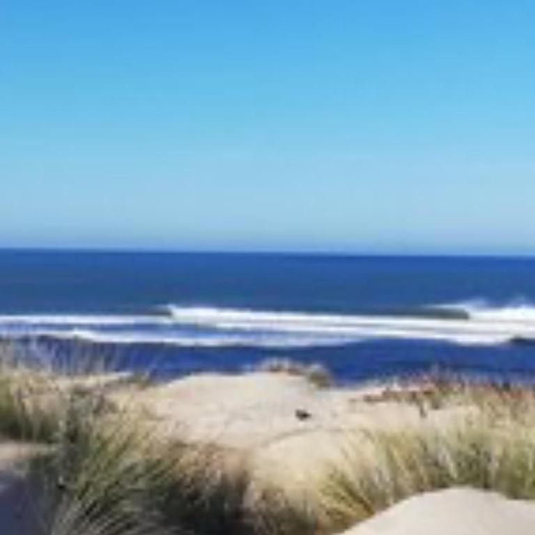 Studio de Charme entre pins,golf et ocean - Maison 1 Chambre - 3
