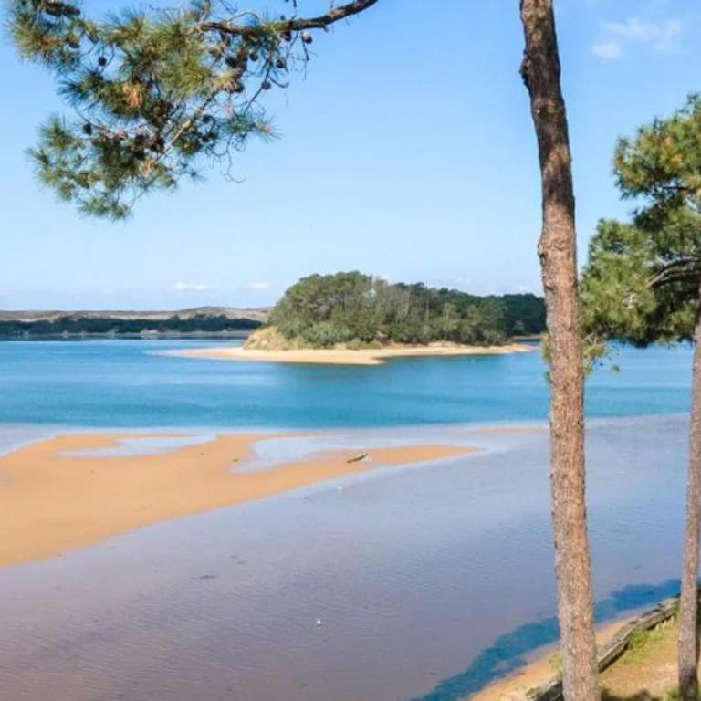 Studio de Charme entre pins,golf et ocean - Maison 1 Chambre - 2