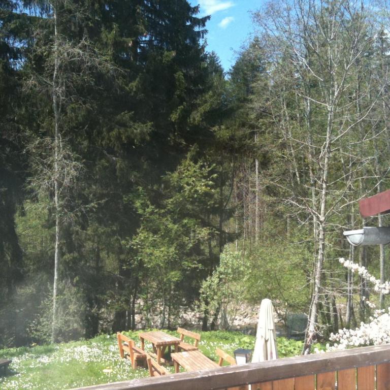 Landgasthof Zum Alten Reichenbach - Einzelzimmer mit Gemeinschaftsbad - 5