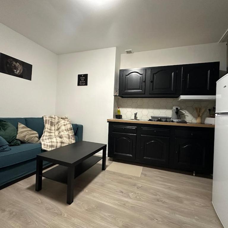 Le Cocon Cathédrale - Appartement 1 Chambre - 8