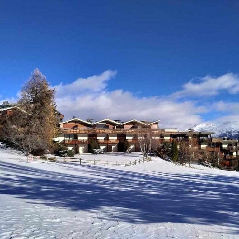 Appart PRA LOUP près des pistes - Appartement 1 Chambre - 25
