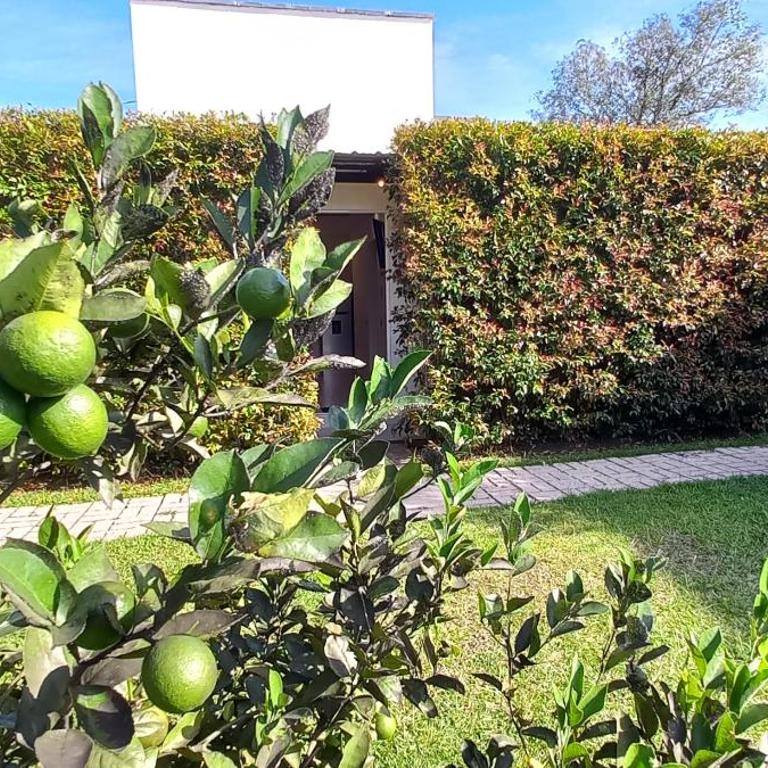 Hotel y Cabañas Parinzzi - Suite con bañera de hidromasaje - 11