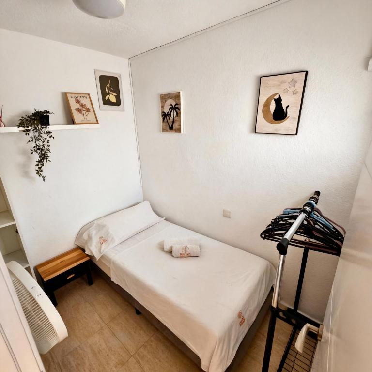 Apartamento con Vistas al Mar en Cabo Cervera - Apartment with Sea View - 13